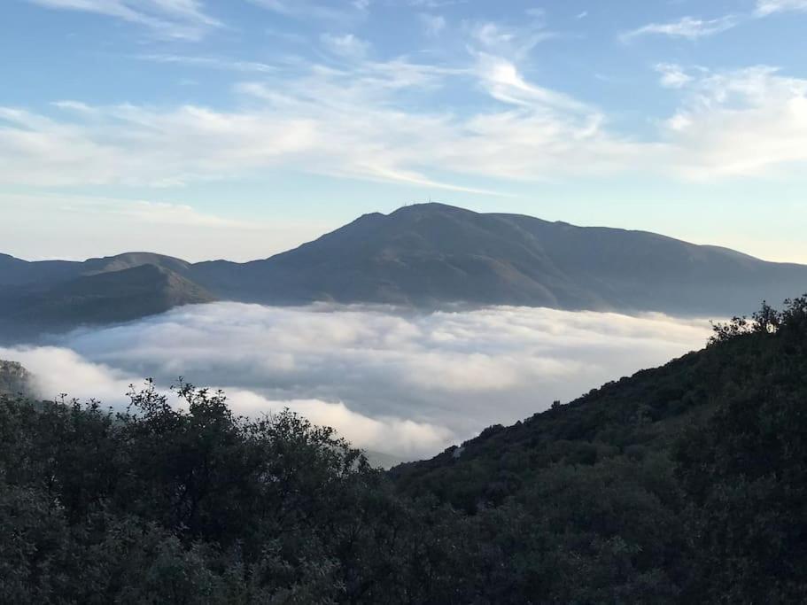 La Casa Rural De Paco Y Ana Pitres Kültér fotó