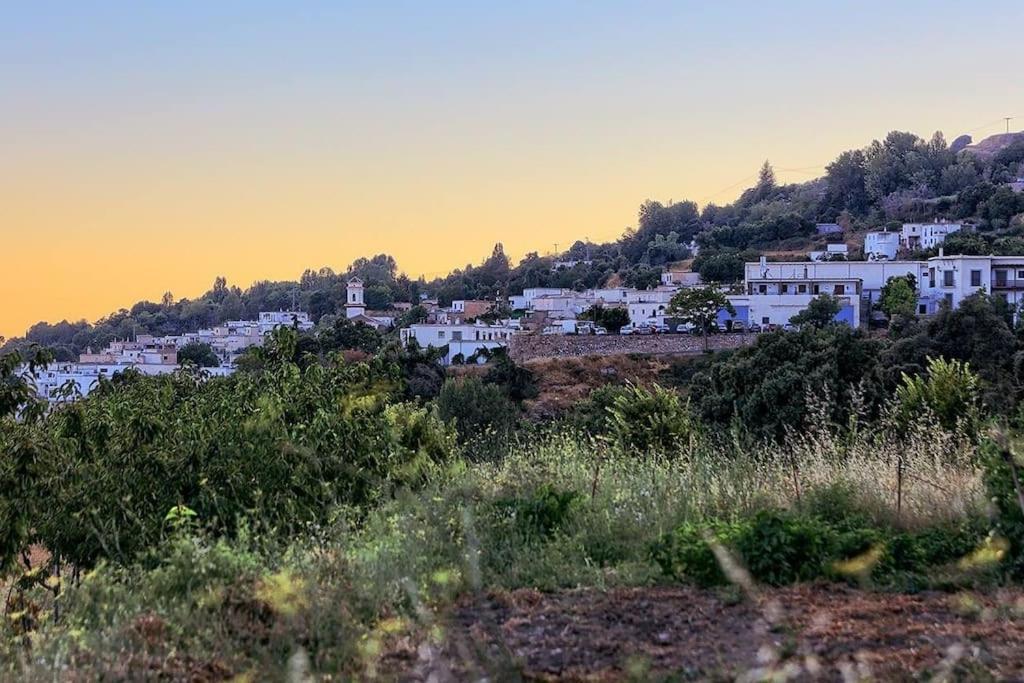 La Casa Rural De Paco Y Ana Pitres Kültér fotó