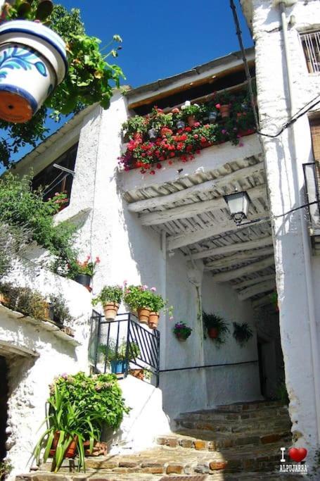 La Casa Rural De Paco Y Ana Pitres Kültér fotó