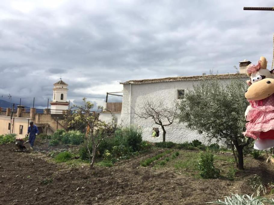 La Casa Rural De Paco Y Ana Pitres Kültér fotó