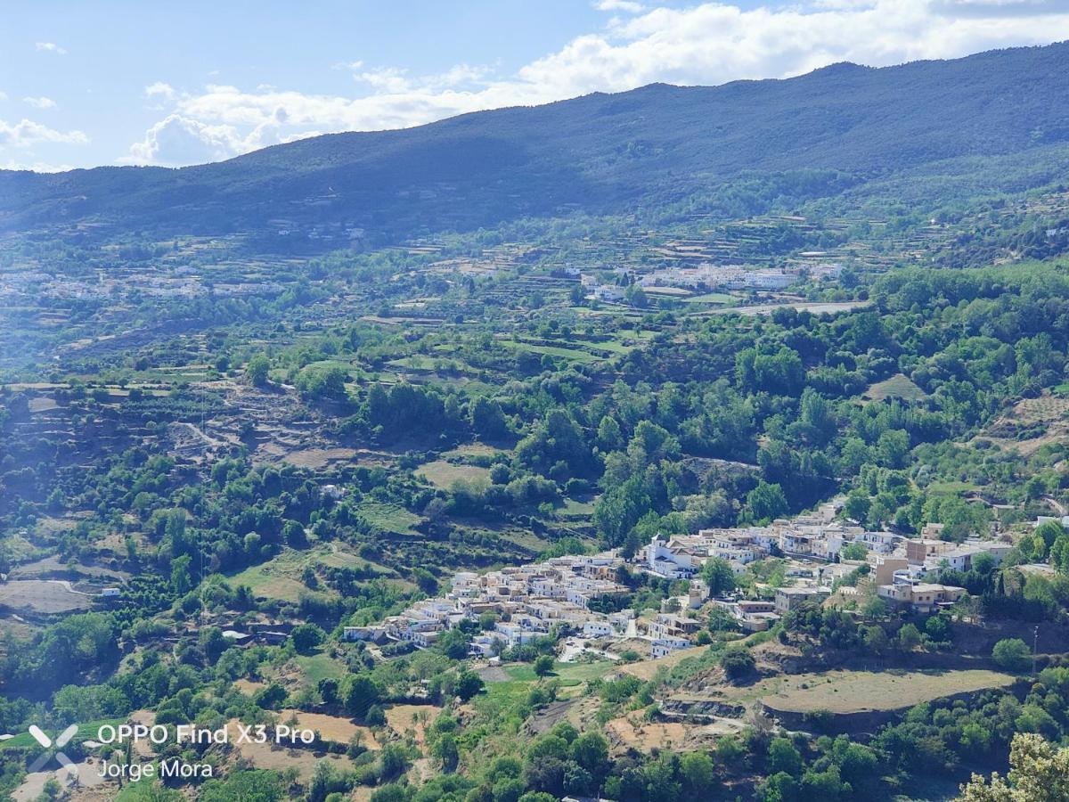 La Casa Rural De Paco Y Ana Pitres Kültér fotó